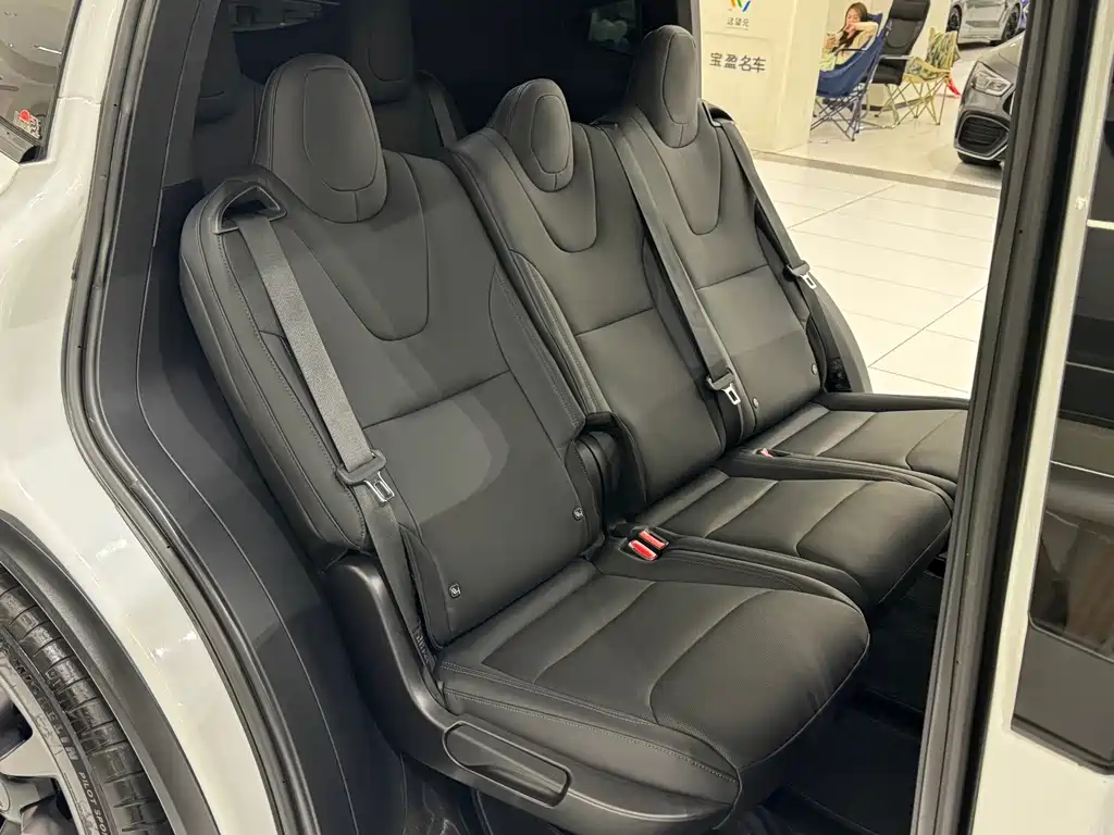 Tesla Model X — миниатюра 16