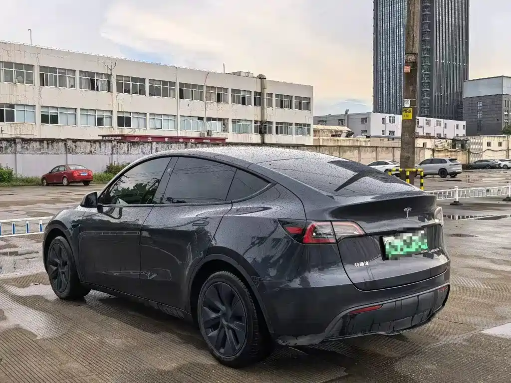 Tesla Model Y — миниатюра 5