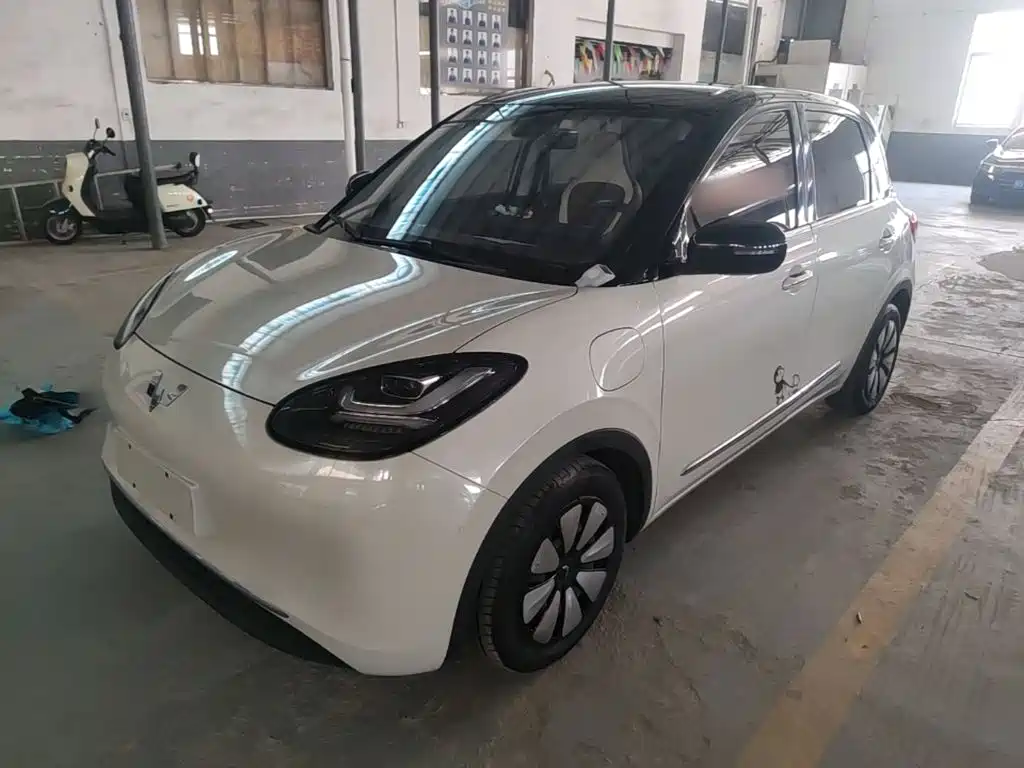 Wuling Binguo 2023 333km Enjoy +