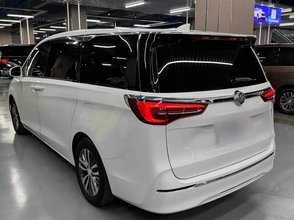 Buick GL8 — миниатюра 14