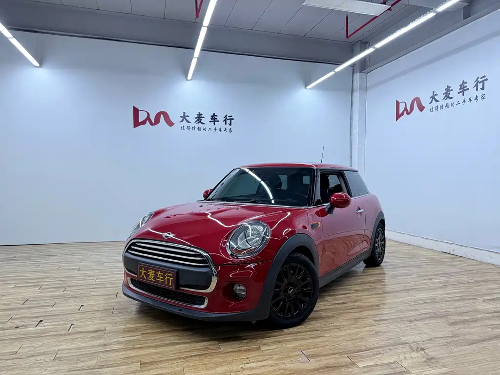 Mini Mini 2017