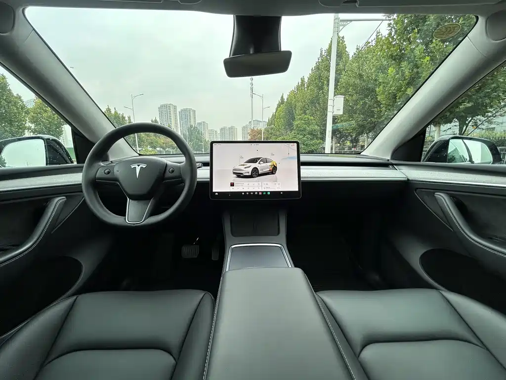 Tesla Model Y — миниатюра 5