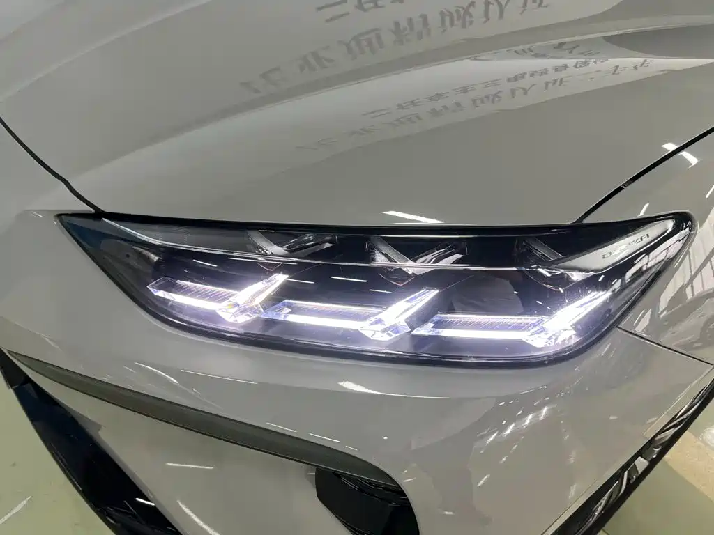 Denza Denza N7 — миниатюра 20