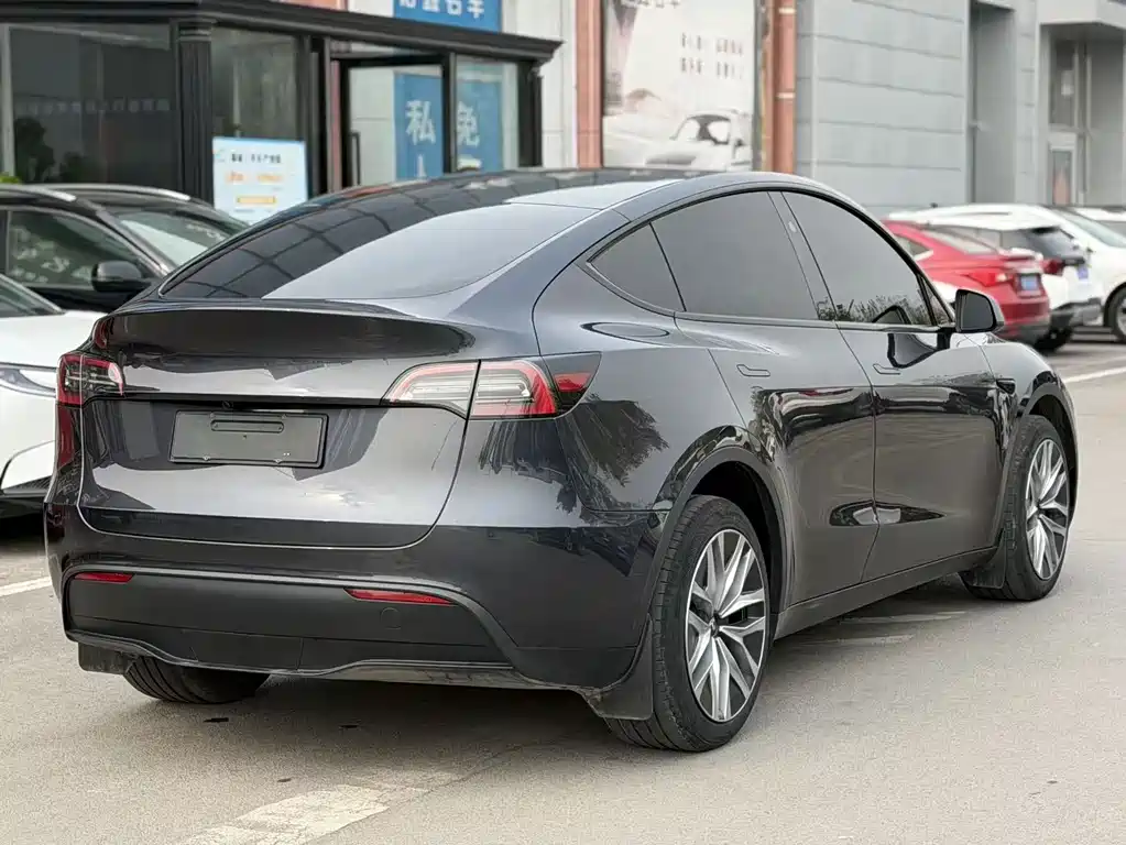 Tesla Model Y — миниатюра 4