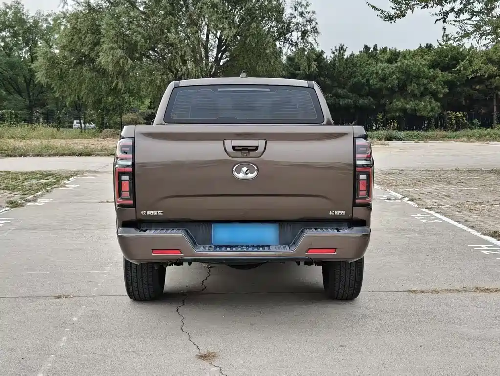 Great Wall Pao — миниатюра 10