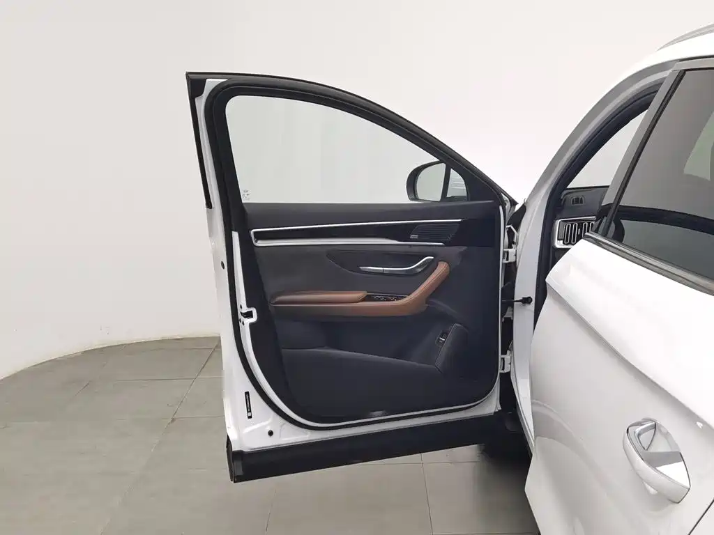 BYD PLUS — миниатюра 8