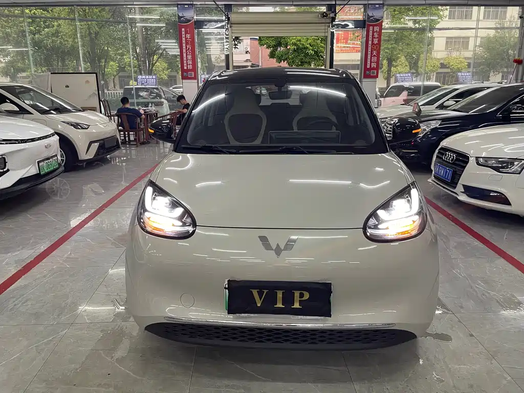Wuling Binguo 2024 333km
