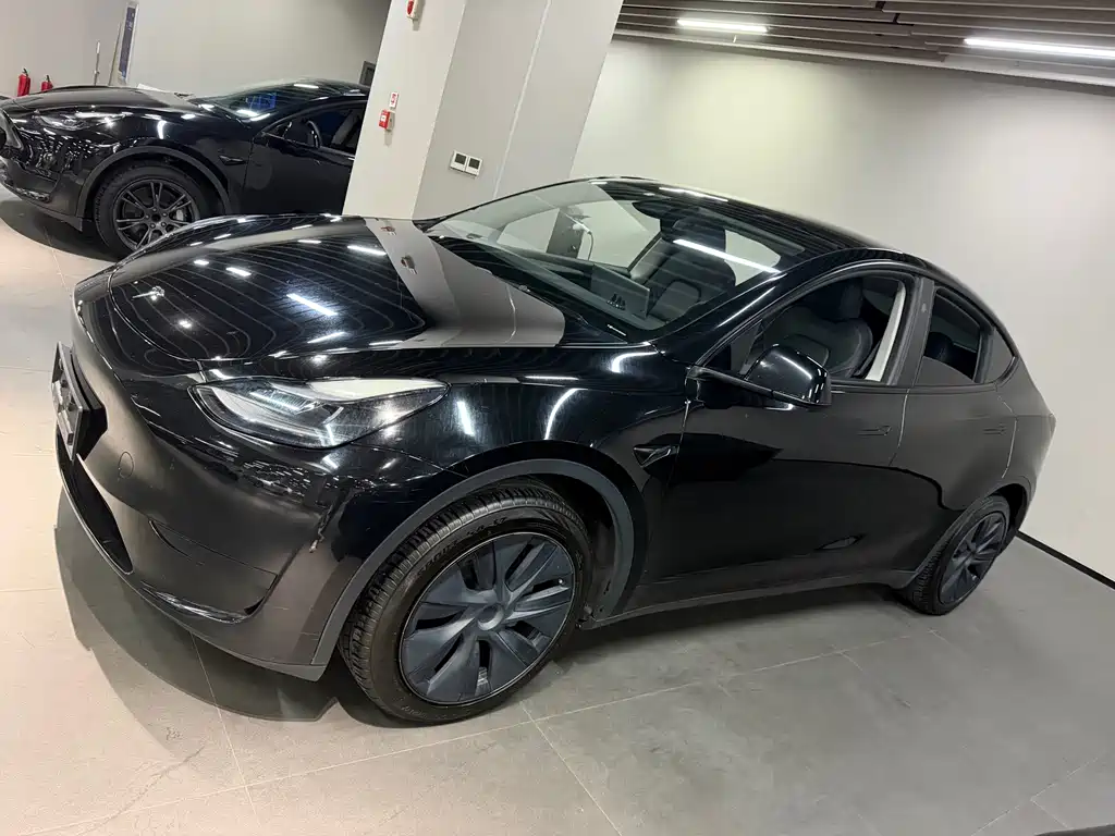 Tesla Model Y — миниатюра 2