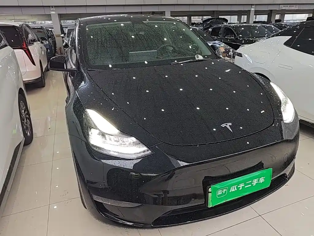 Tesla Model Y — миниатюра 4