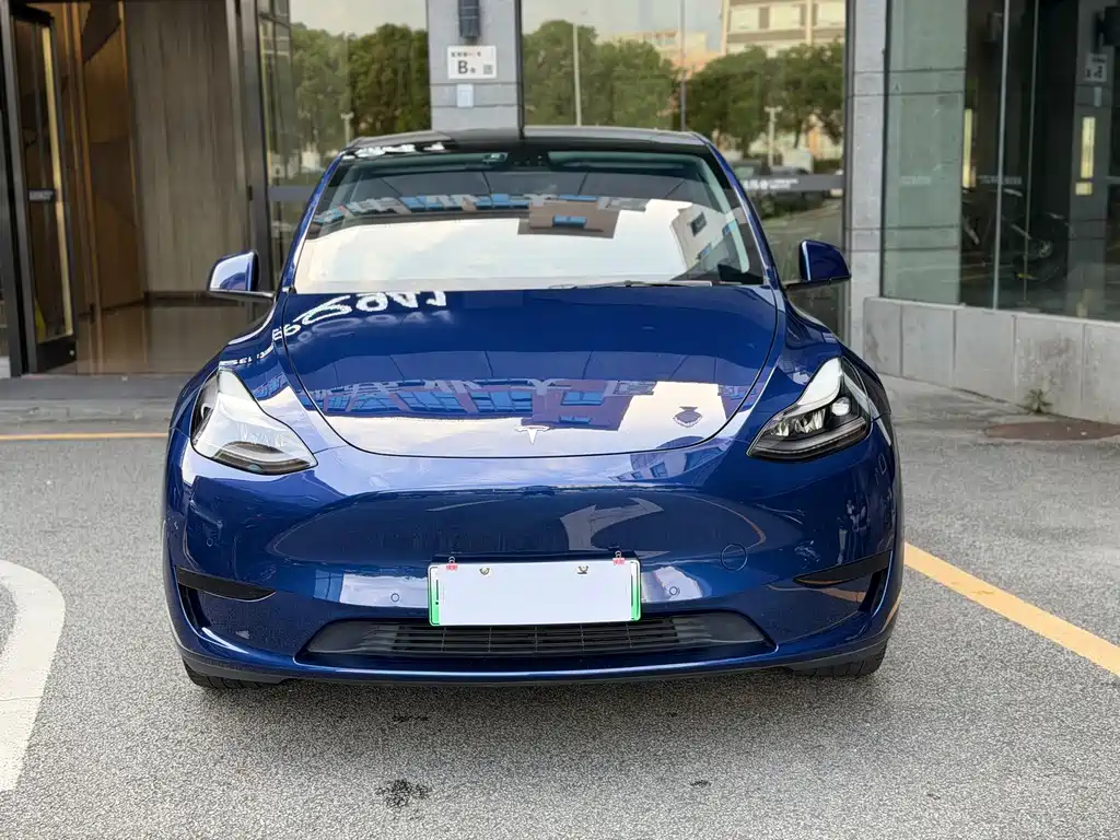 Tesla Model Y — миниатюра 2