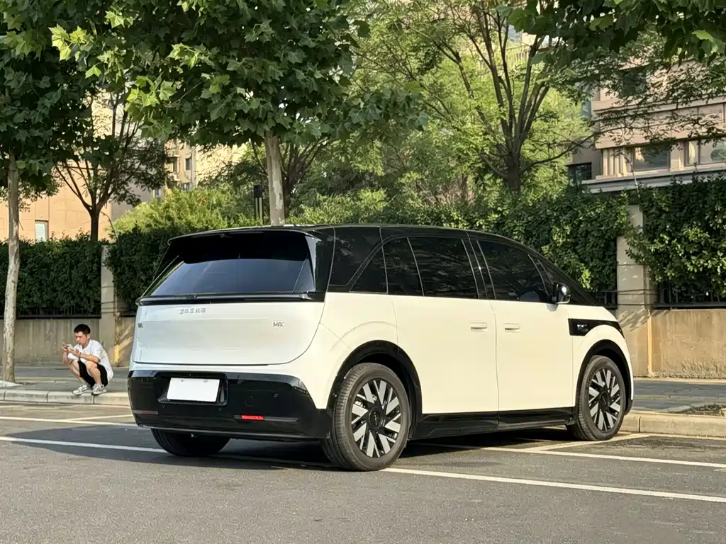 Zeekr Mix 2025 Smart Drive