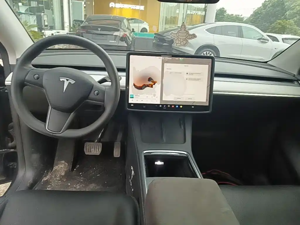 Tesla Model Y — миниатюра 10