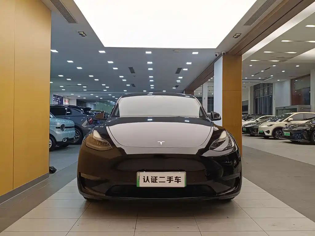 Tesla Model Y — миниатюра 5