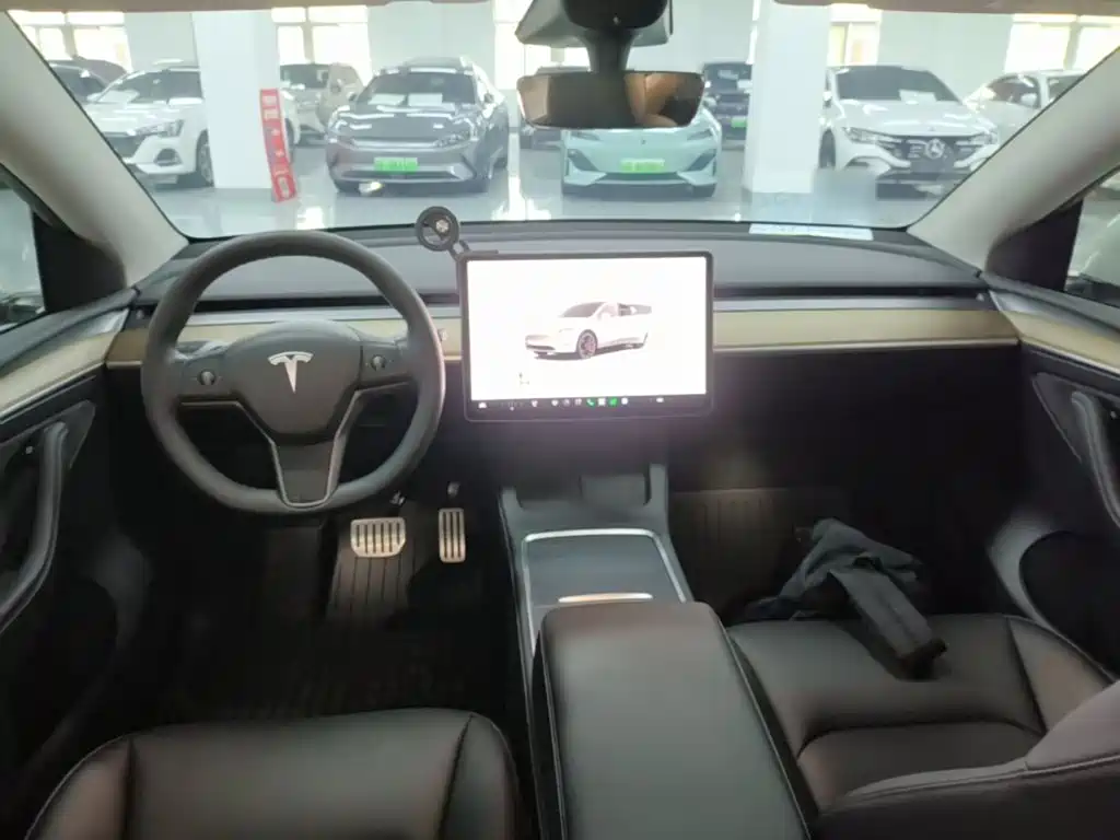 Tesla Model Y — миниатюра 10