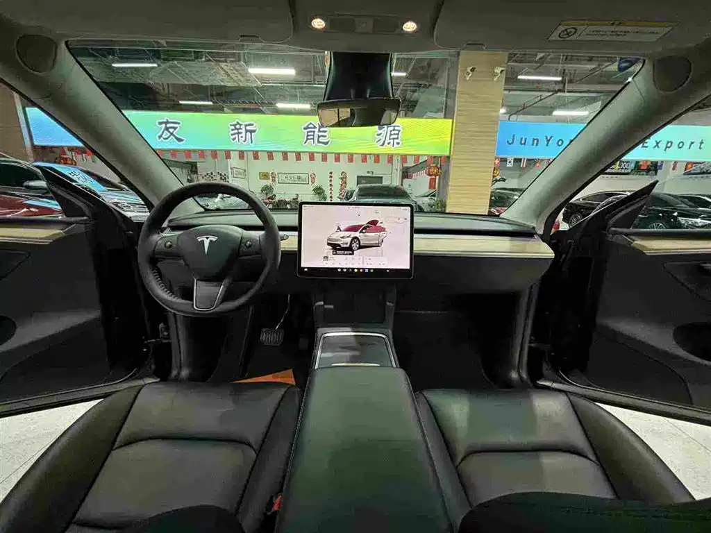 Tesla Model Y — миниатюра 7
