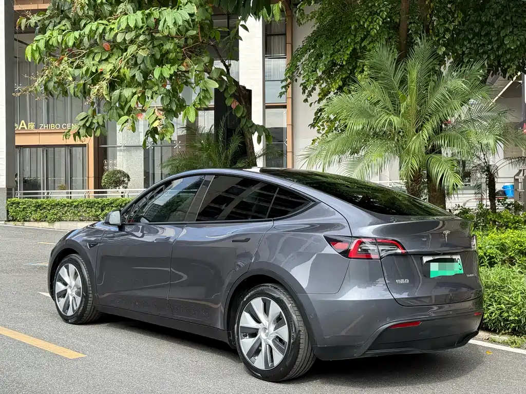 Tesla Model Y — миниатюра 6
