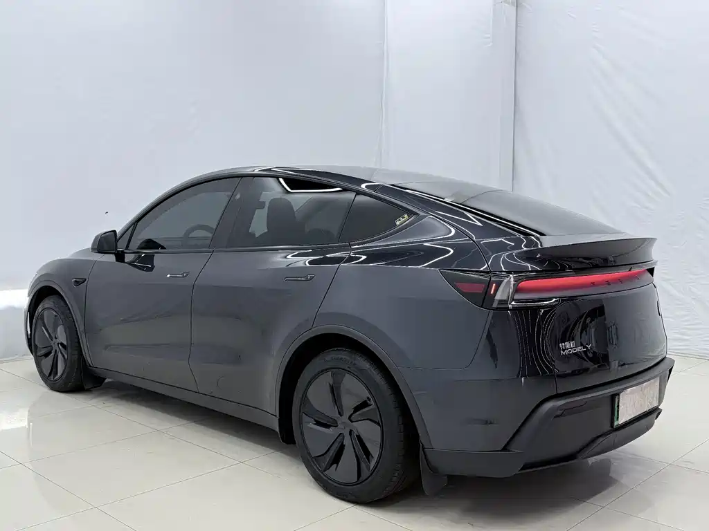 Tesla Model Y — миниатюра 14