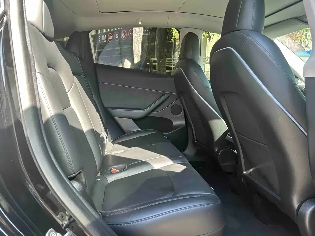 Tesla Model Y — миниатюра 15