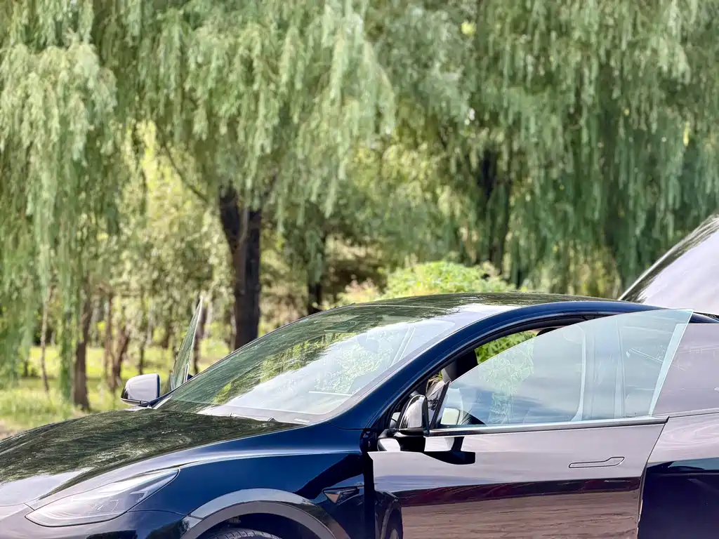 Tesla Model Y — миниатюра 4