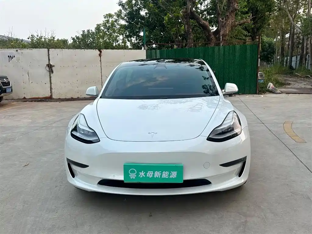 Tesla Model 3 — миниатюра 2