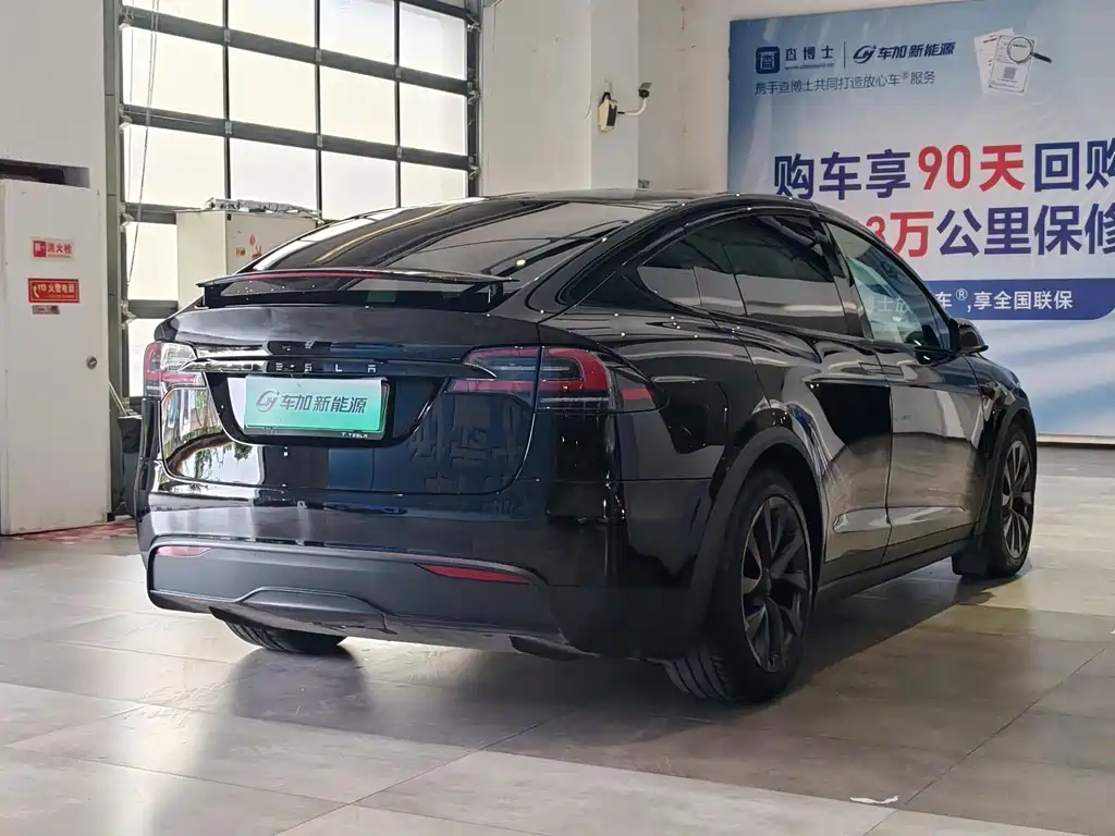 Tesla Model X — миниатюра 9