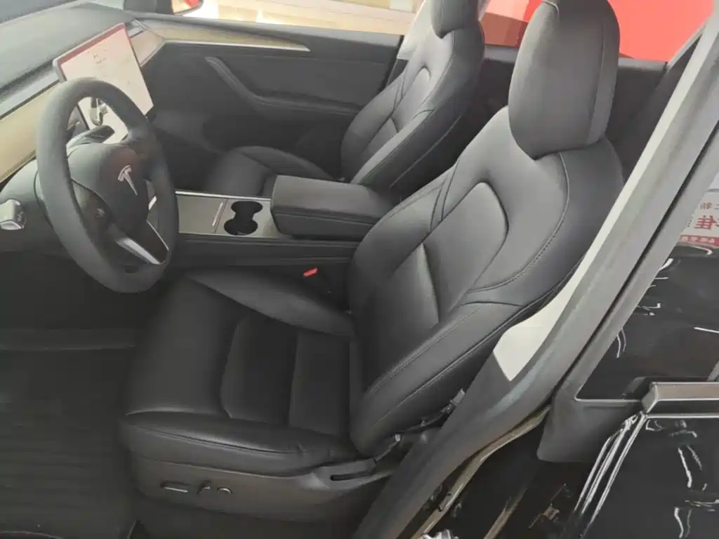 Tesla Model Y — миниатюра 15