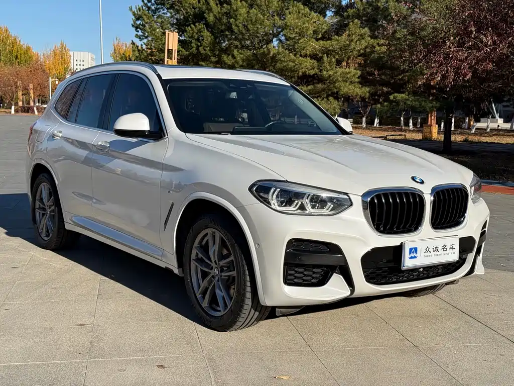 BMW X3 — миниатюра 2