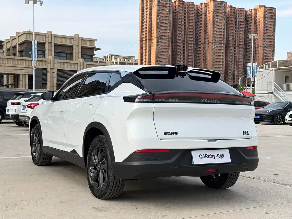 Dongfeng Sky EV01 2024 530km PRO