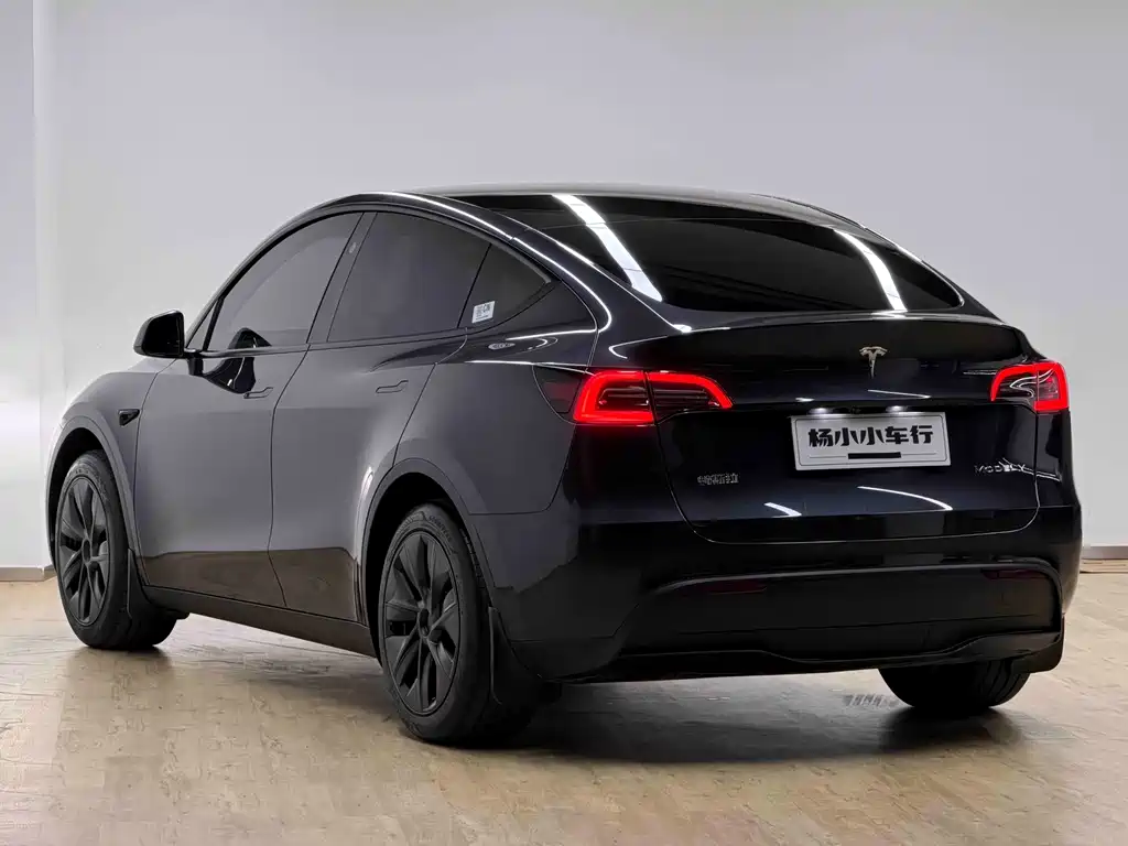 Tesla Model Y — миниатюра 20