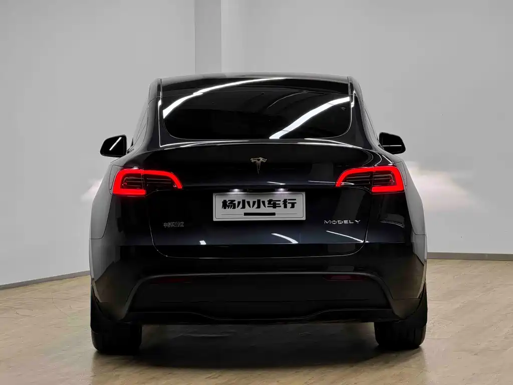 Tesla Model Y — миниатюра 19