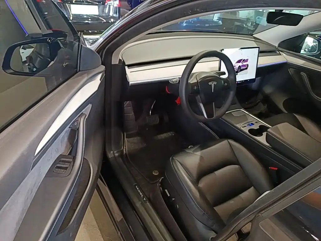 Tesla Model Y — миниатюра 16