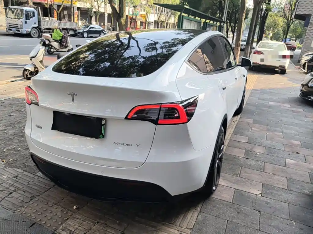 Tesla Model Y — миниатюра 7