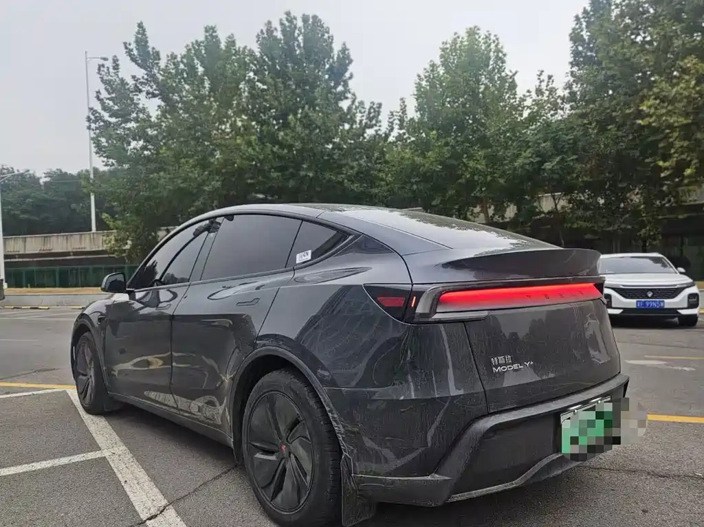 Tesla Model Y — миниатюра 4