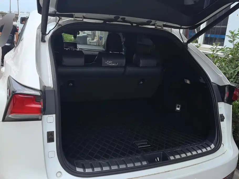 Lexus NX — миниатюра 4
