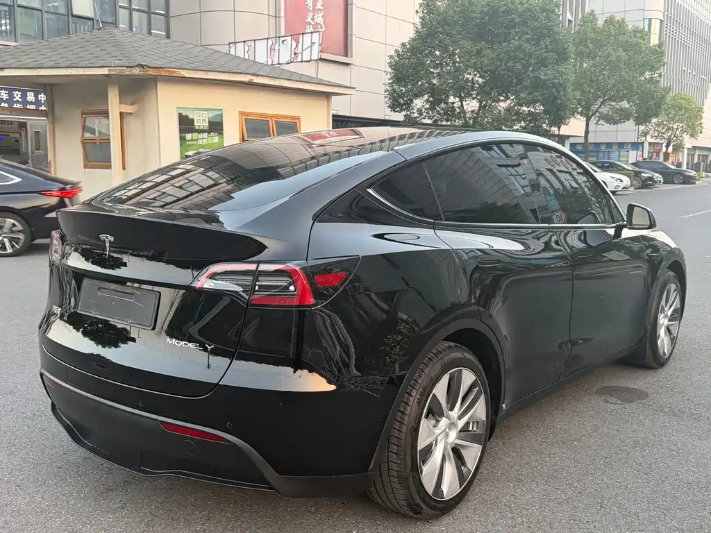 Tesla Model Y — миниатюра 19