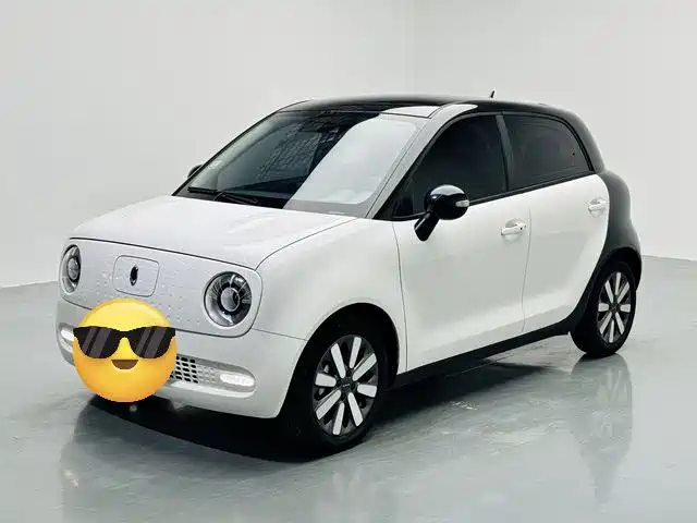 ORA Black Cat 2021 351km Luxury Type