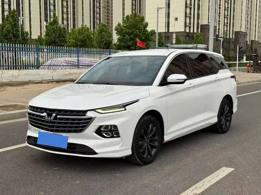 Wuling Victory 2021