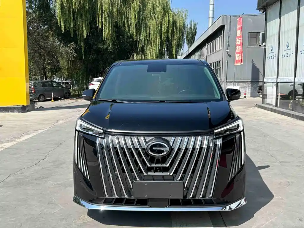 GAC Motor Trumpchi M8 — миниатюра 2