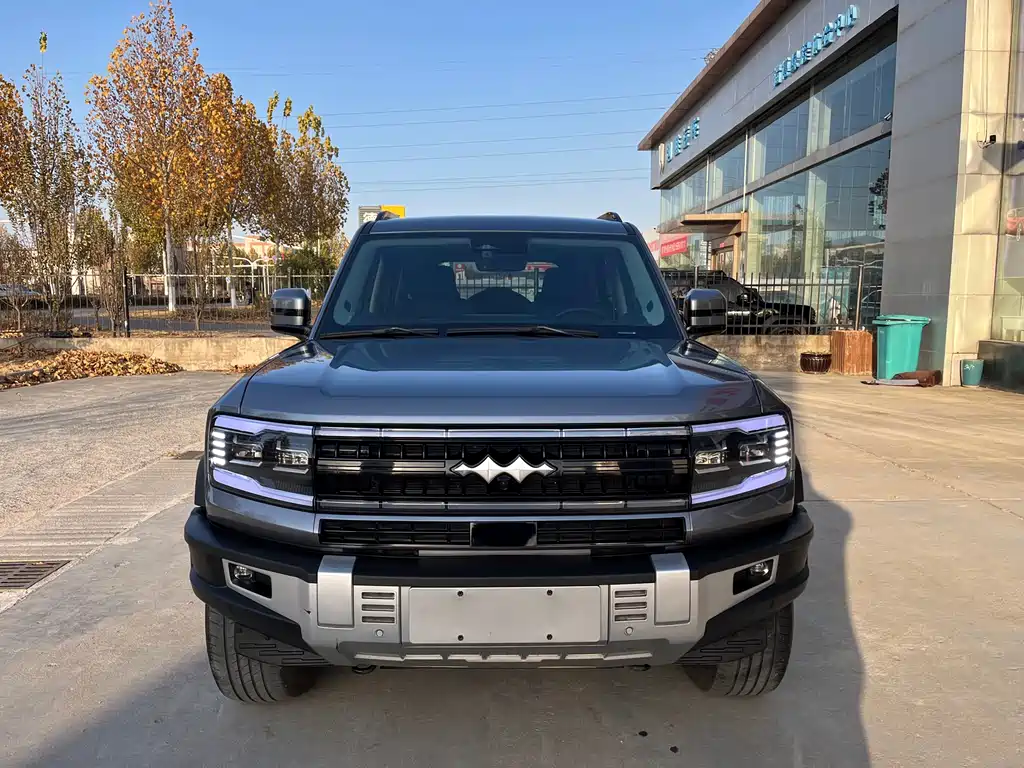 FANG CHENG BAO LEOPARD 5