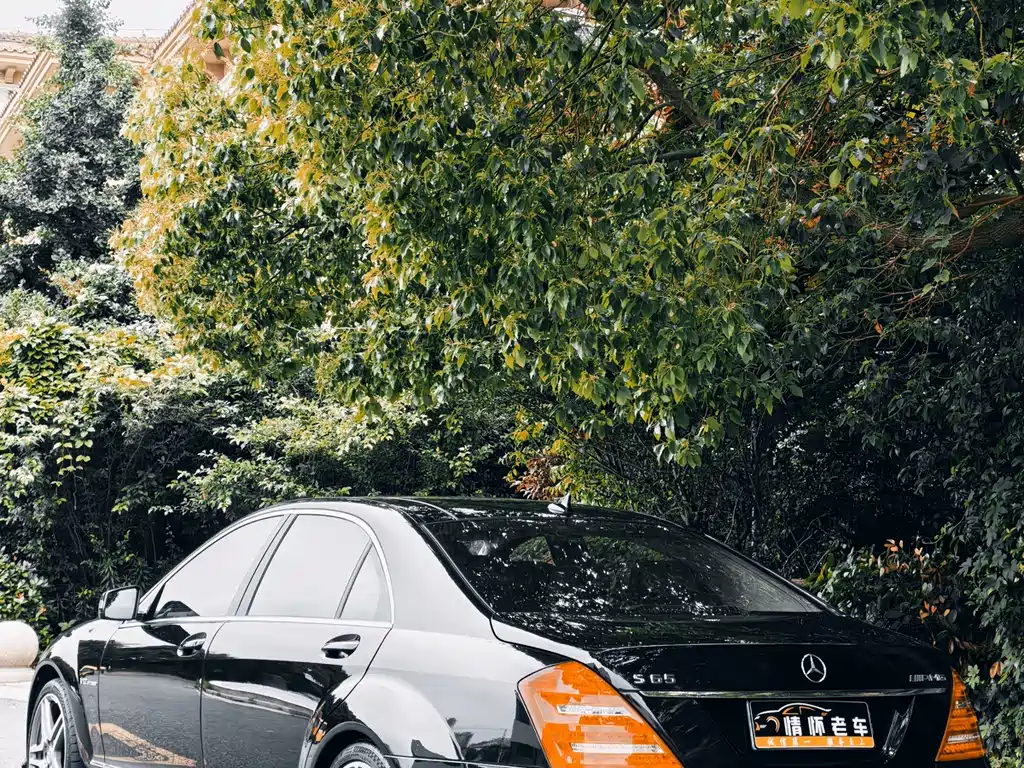 Mercedes-Benz S-Class A MG S AMG 2010 AMG S 65