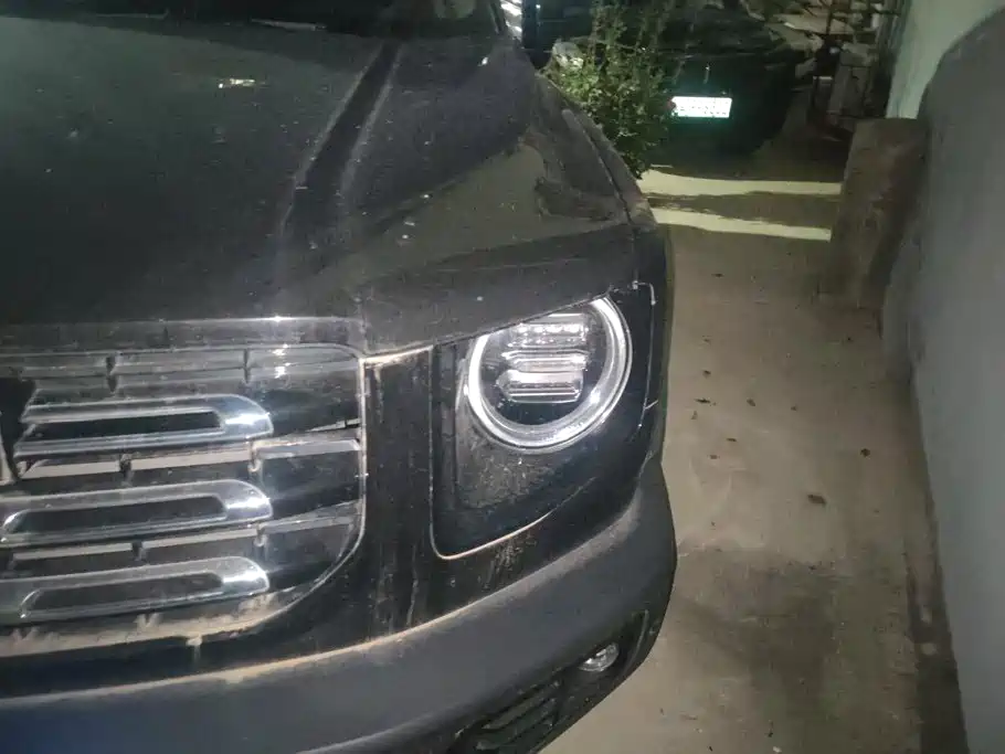 Haval Big Dog — миниатюра 5