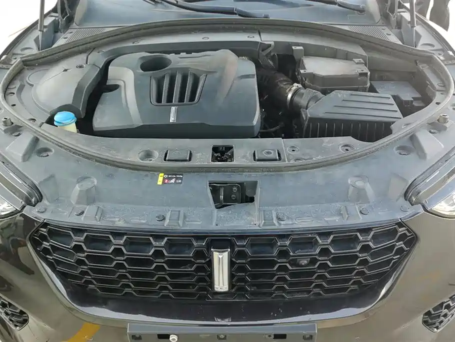 WEI PAI WEI BRAND VV7