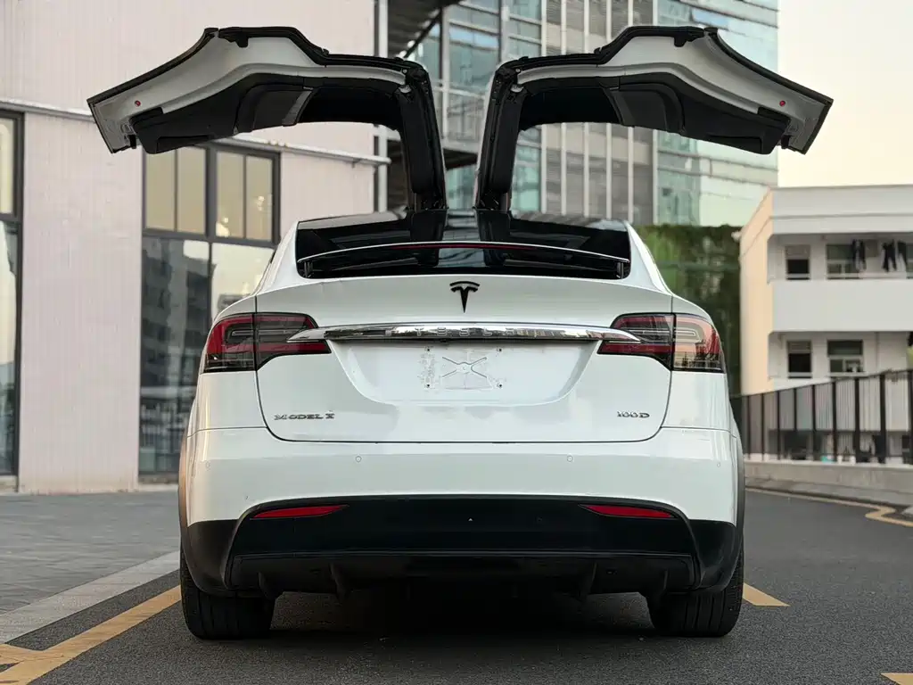 Tesla Model X — миниатюра 4