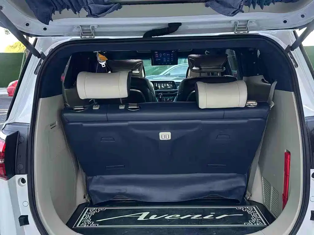 Buick GL8 — миниатюра 12