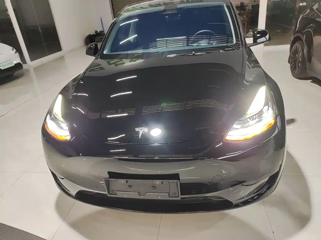 Tesla Model Y — миниатюра 3