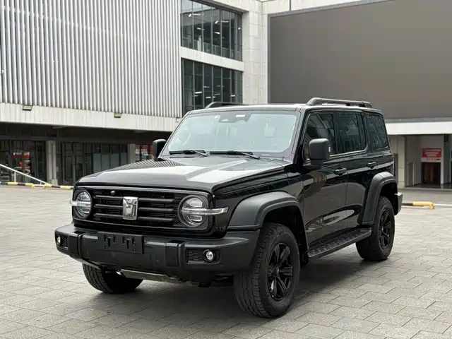 2021 TANK 300