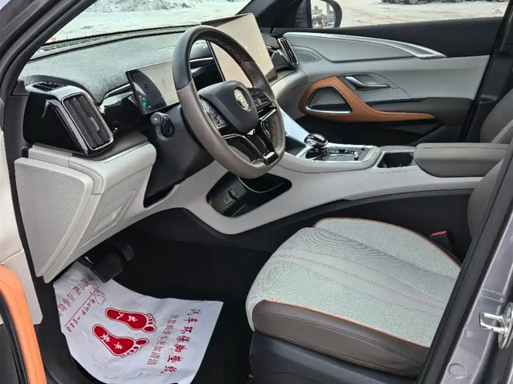 BYD SONGJIANG NEW ENERGY