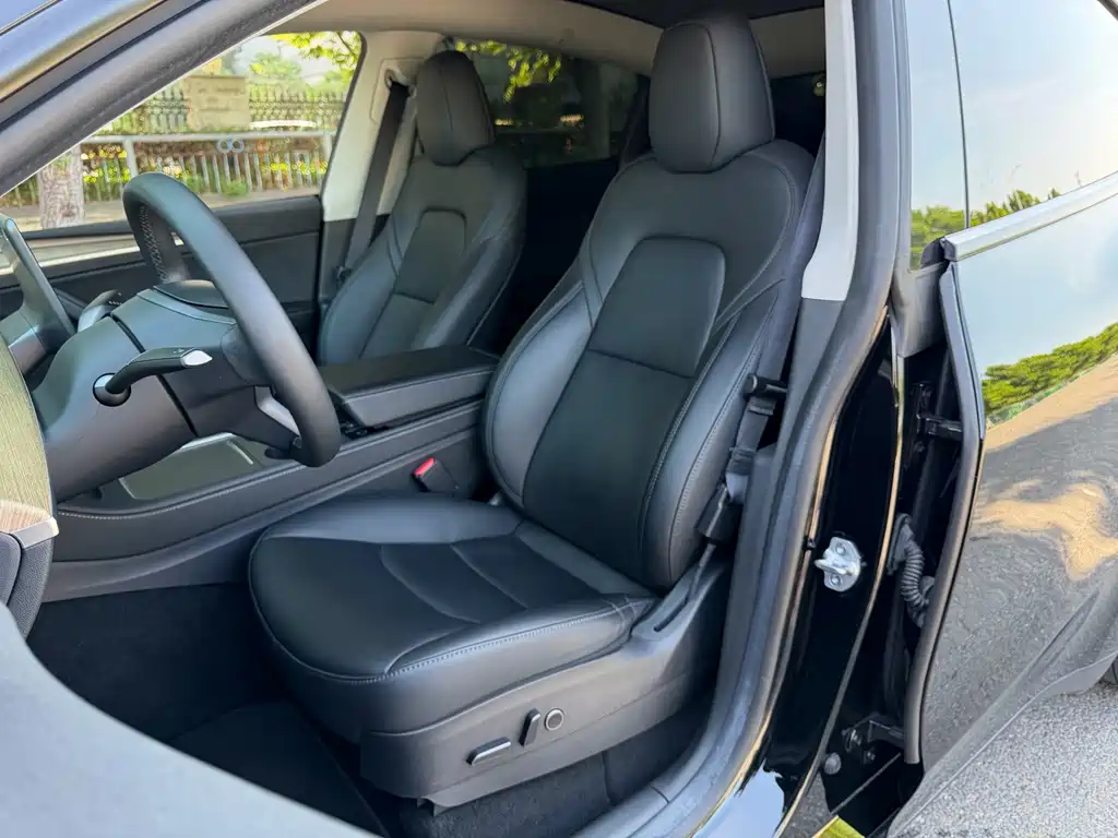 Tesla Model Y — миниатюра 6