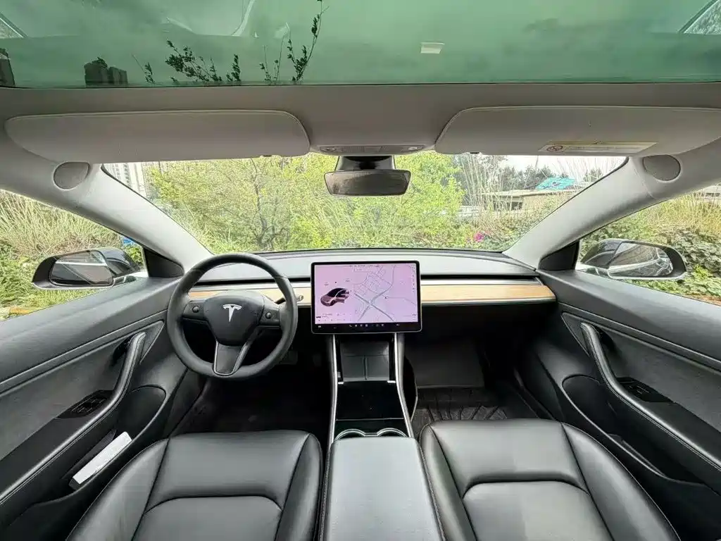 Tesla Model 3 — миниатюра 4