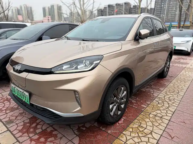 Weltmeister WEIMA EX5 2019